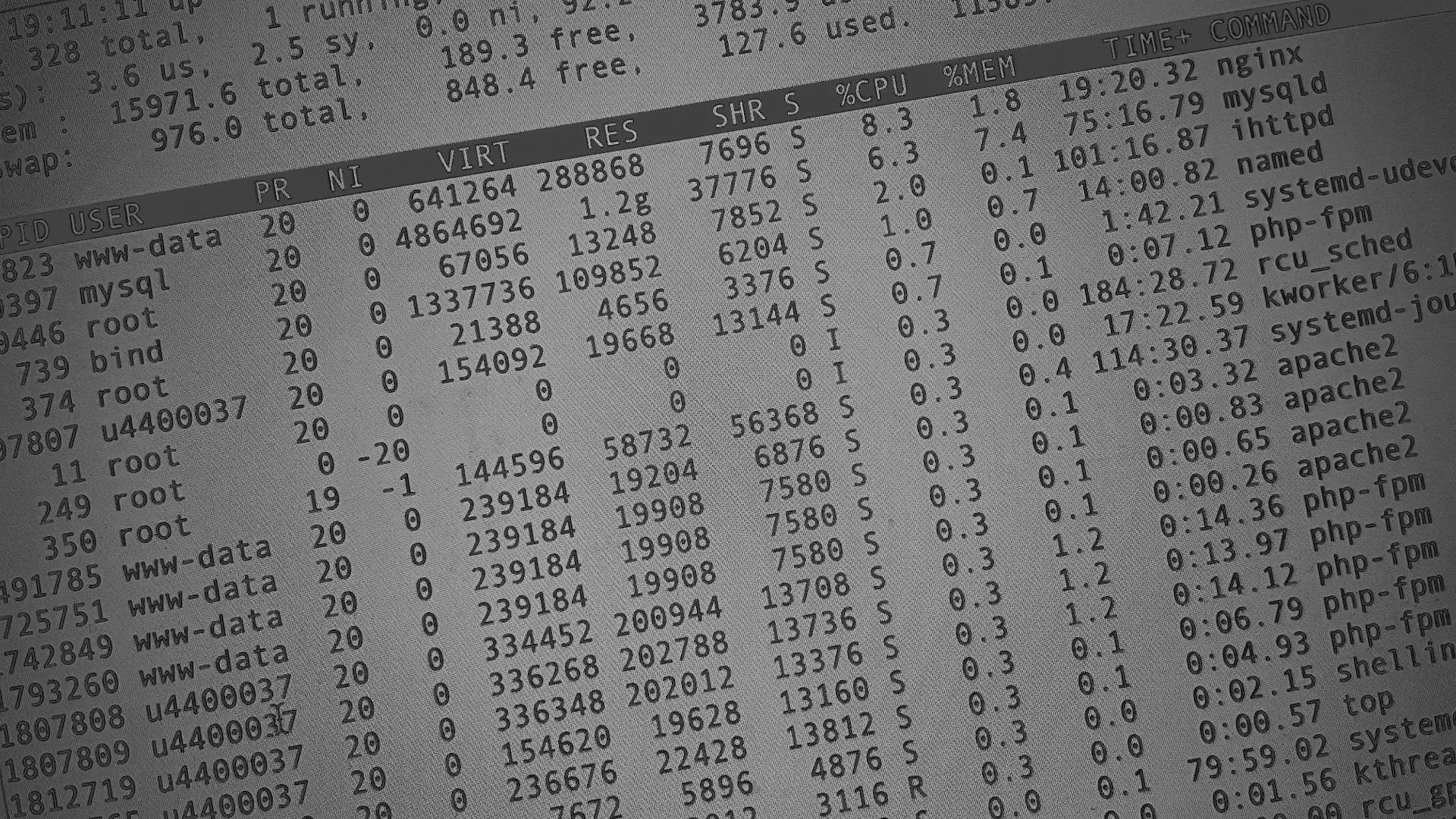 Настройка сервера в Петровске