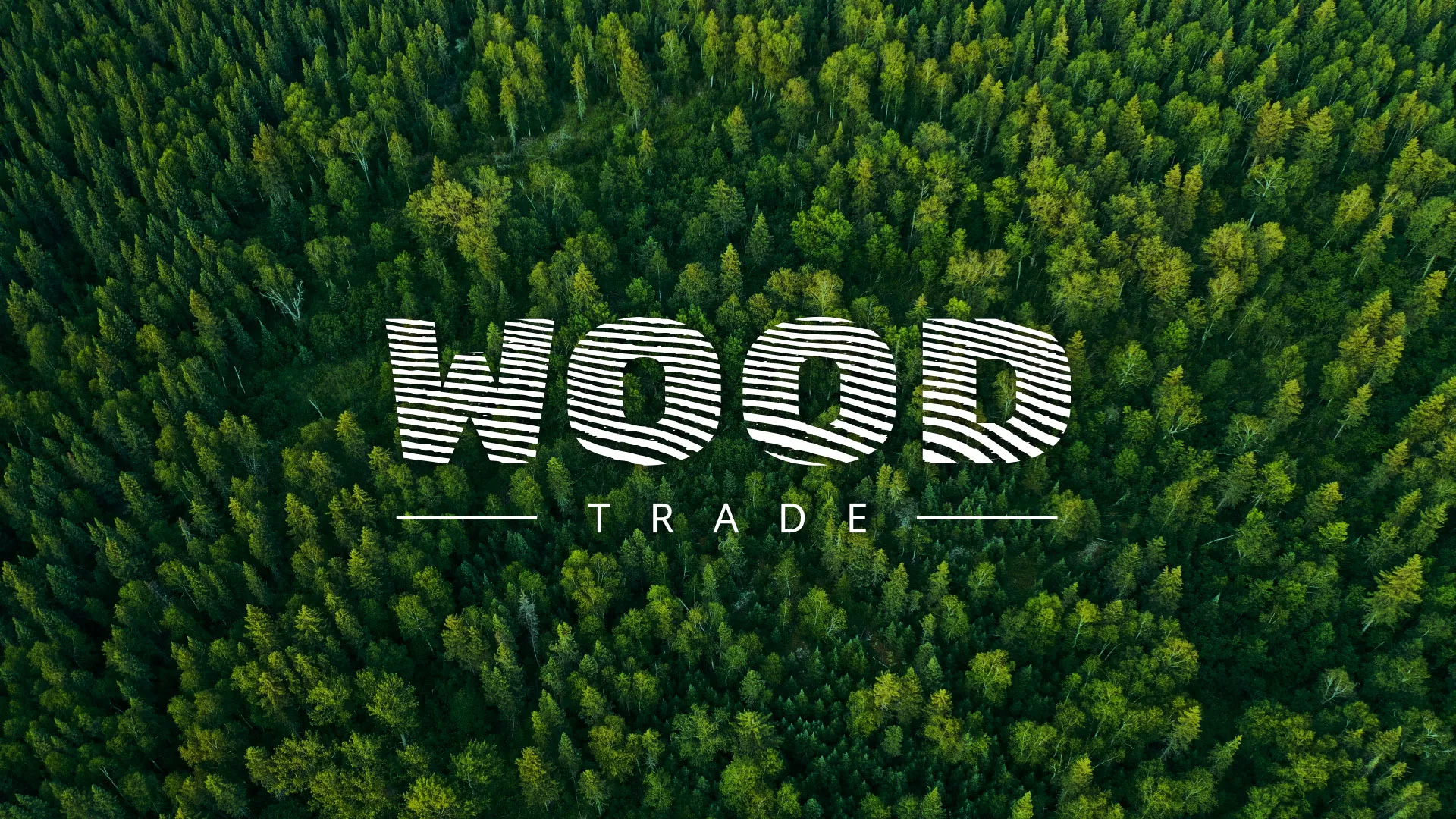 Разработка интернет-магазина компании «Wood Trade» в Петровске