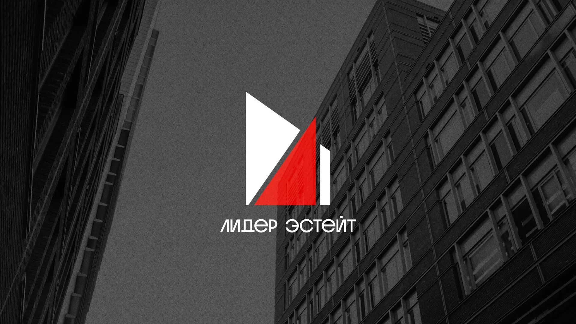 Сделали логотип для агентства недвижимости «Лидер Эстейт» в Петровске